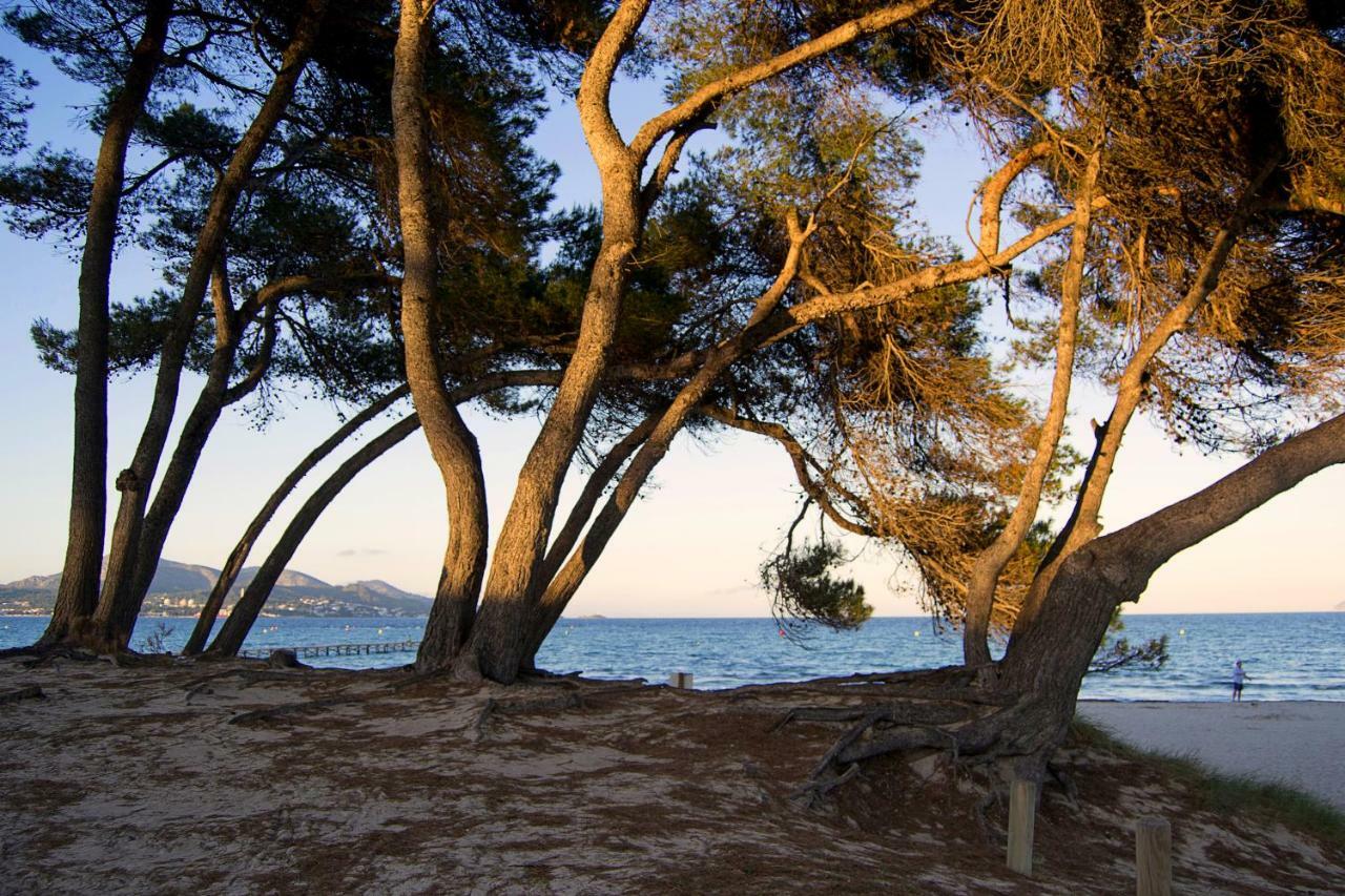 Marblava * Playa de Muro (Mallorca)